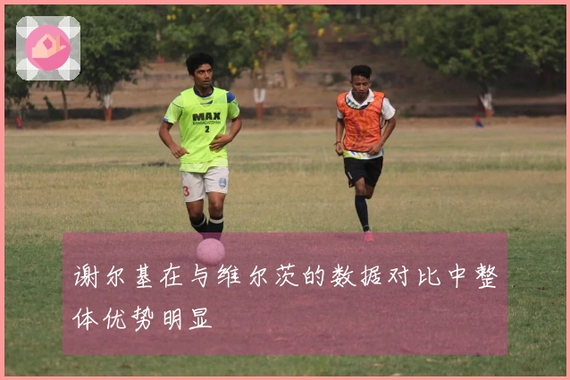 谢尔基在与维尔茨的数据对比中整体优势明显